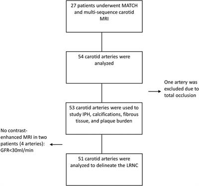 Quantification of carotid plaque composition with a multi-contrast atherosclerosis characterization (MATCH) MRI sequence